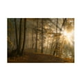 thumbnail image 1 of Norbert Maier 'Forest Light' Canvas Art, 1 of 4