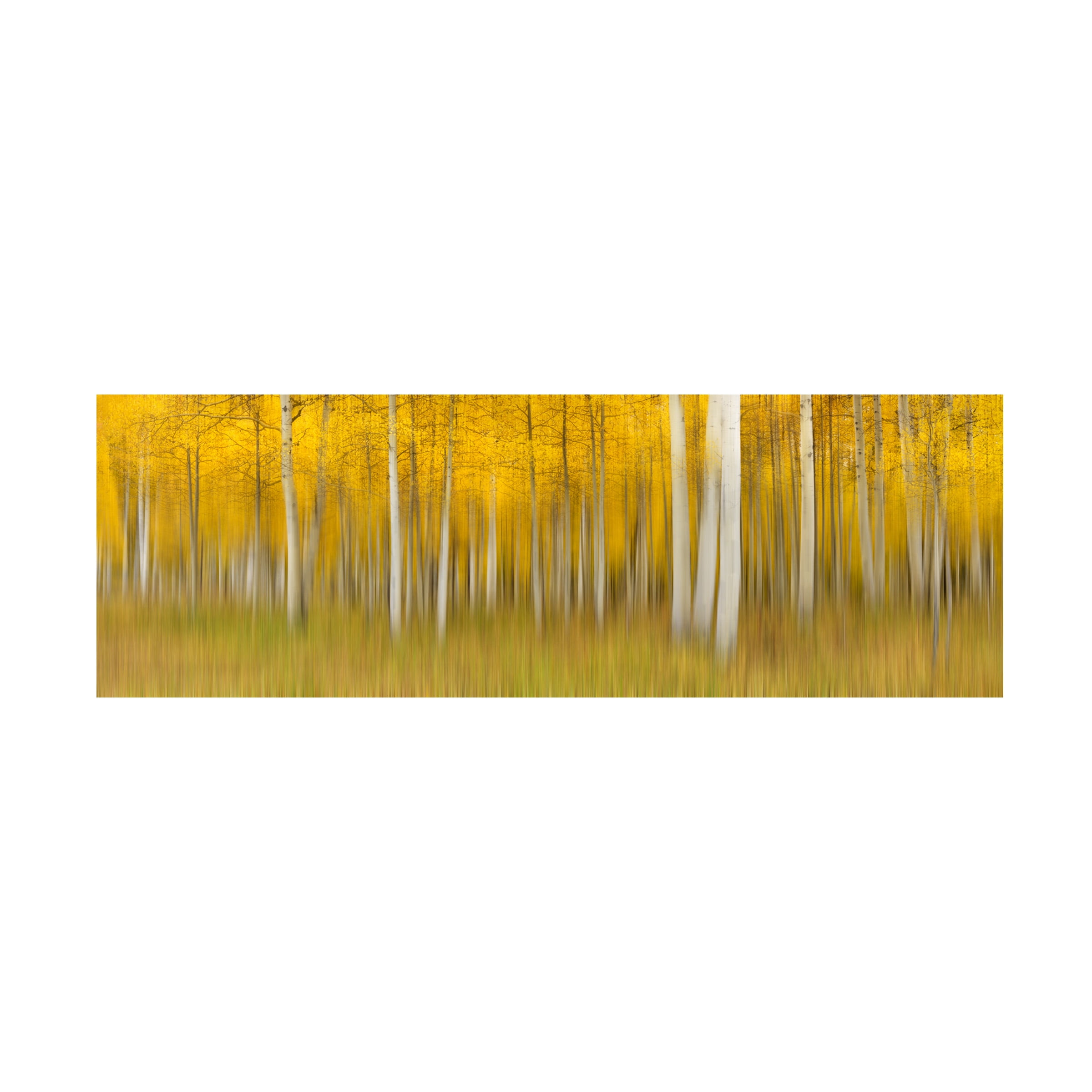 Mei Xu 'Autumn Dream' Canvas Art