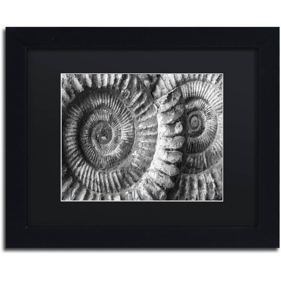 Moises Levy 'Amonita 3' Black Matted Framed Art