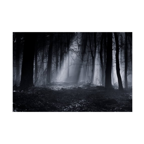 Julien Oncete 'Capela Forest' Canvas Art