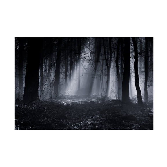 Julien Oncete 'Capela Forest' Canvas Art