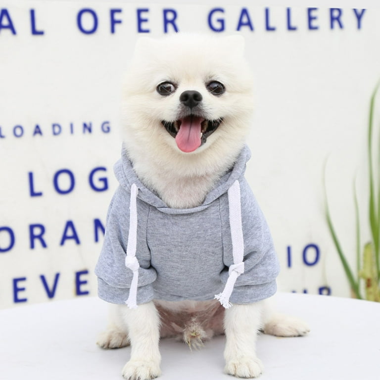Big dogs hoodie new arrivals