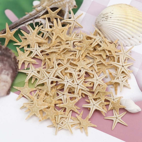 Walbest 1 Box(20/50/100Pcs) Starfish Natural Mixed Reusable Realistic White Star Sea Shell Beach Crafts Decor, Small Starfish Star Sea Shell Micro Landscape Decoration