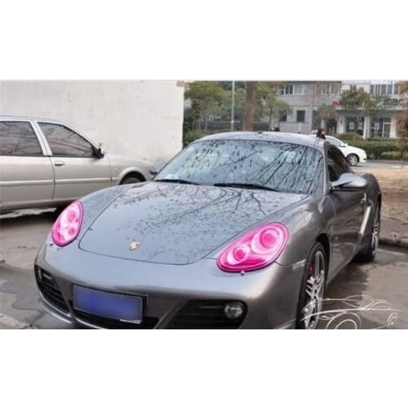 Walbest 12 by 24 Inches Self Adhesive Headlight, Tail Lights, Fog Lights Tint Vinyl Film (12" x 24", Pink)