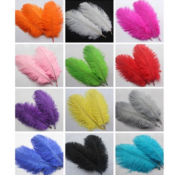 Walbest 15 Pcs Natural Ostrich Feathers Colored Soft Feather for Clothes Wedding Decor