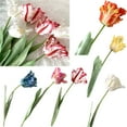 thumbnail image 1 of Walbest 1Pc 26.77 Inch Artificial Flower Vivid Decorative 3D Parrot Tulip Real Touch Fake Flower Decor Flower Arrangement for Home Office Party, Flower Diameter: 4.33", 1 of 7