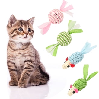 Kitten Teething Toys