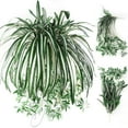 thumbnail image 1 of Walbest 1Pc Chlorophytum Comosum Faux Greenery, Artificial Flowers Spider Plant for Home Wall Garden Hotel Decor Indoor Outside, 1 of 7