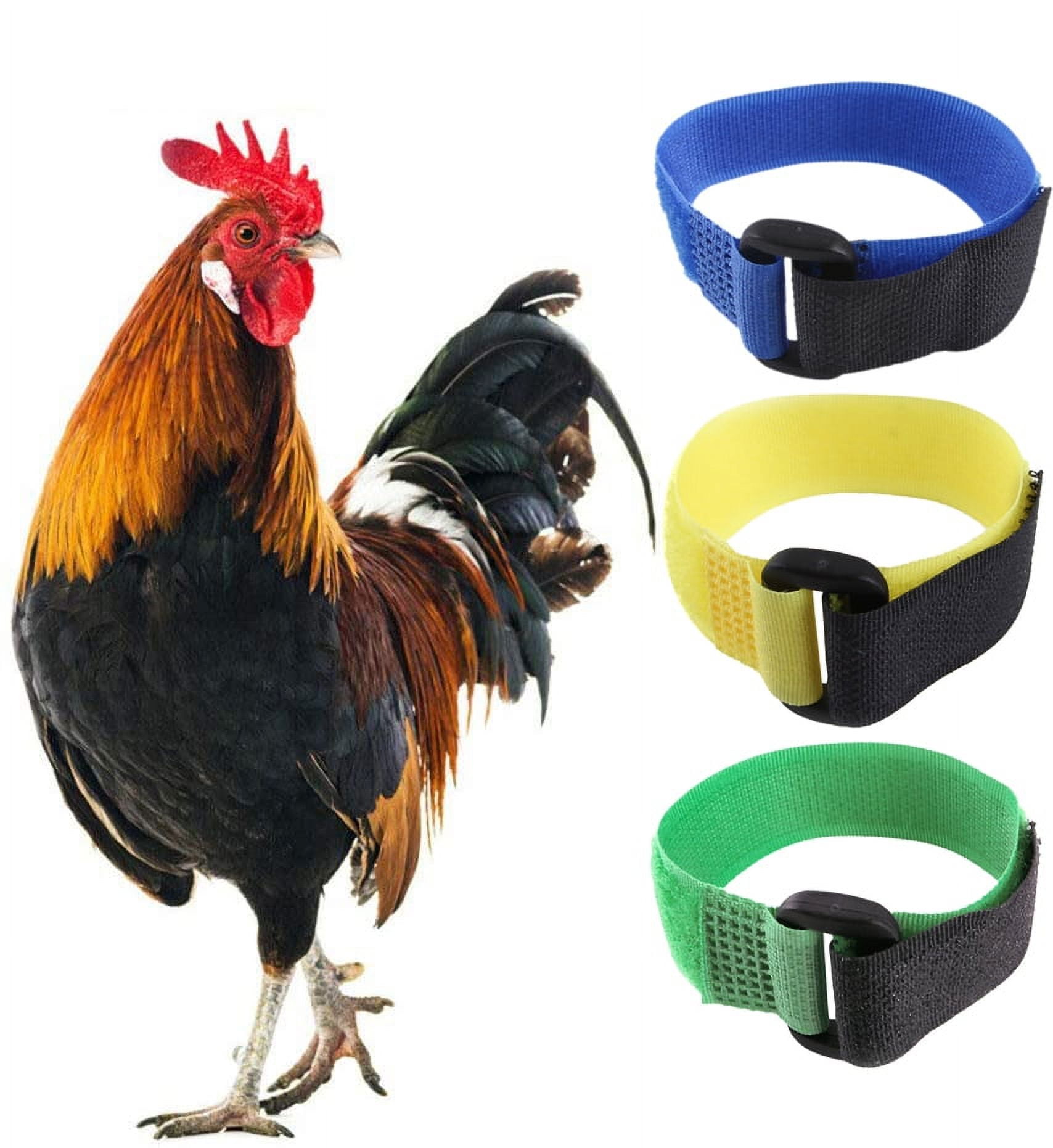Walbest 2Pcs No Crow Rooster Collar, Chicken Collar AntiHook Noise