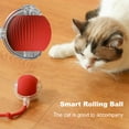 Walbest 2Pcs SelfRolling Ball Cat Toys ChewResistant Automatic Moving