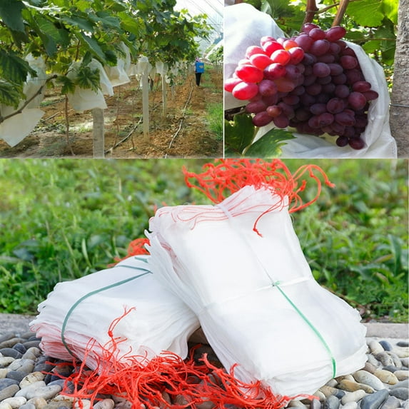Walbest 50Pcs Fruit Protection Bags for Fruit Trees, Reusable Garden Insect Netting Bag with Drawstrings, Fruit Mesh Bags Protect Plants Tomato Apple Peach Trees from Bugs Birds