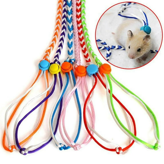 Walbest 6.5FT Adjustable Hamster Leash Harness for Chinchilla Rabbit Hamster Guinea Pig Squirrel Small Animal, Random Color