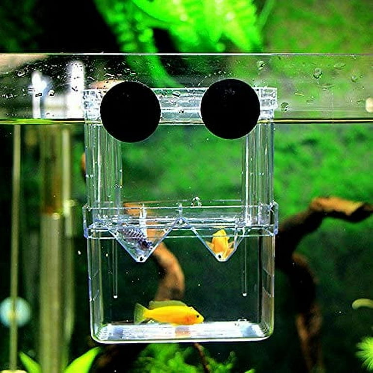 Walbest Aquarium Fish Breeder Rearing Trap Box for Hatchery 4.1x2