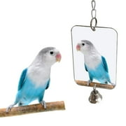 Walbest Bird Mirror with Bell,Parrot Cage Toys,Pet Bird Acrylic Mirror with Mirror for Greys Parakeet Cockatoo Cockatiel Conure Lovebirds Canaries Little Macaw African Parrot (3.76x2.26in)
