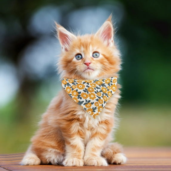 Walbest Cat Collars, Cat Collar Bandana, Cat Collars for Girl Cats, Breakaway Cat Collar, Kitten Collar, Kitten Collar with Bell, Personalized Flower Cat Collar for Male Female Cats, Pink