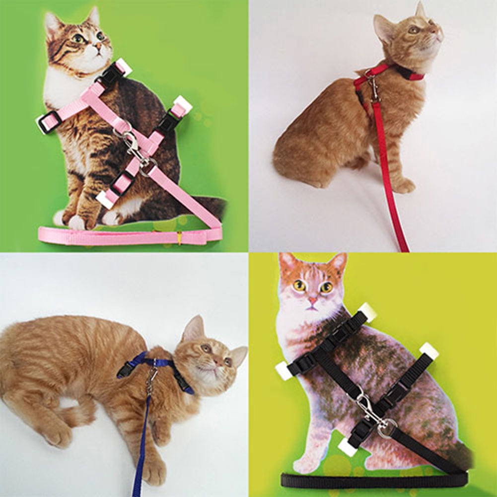 Walbest Cat Harness and Leash Adjustable Halter Harness Nylon Strap ...