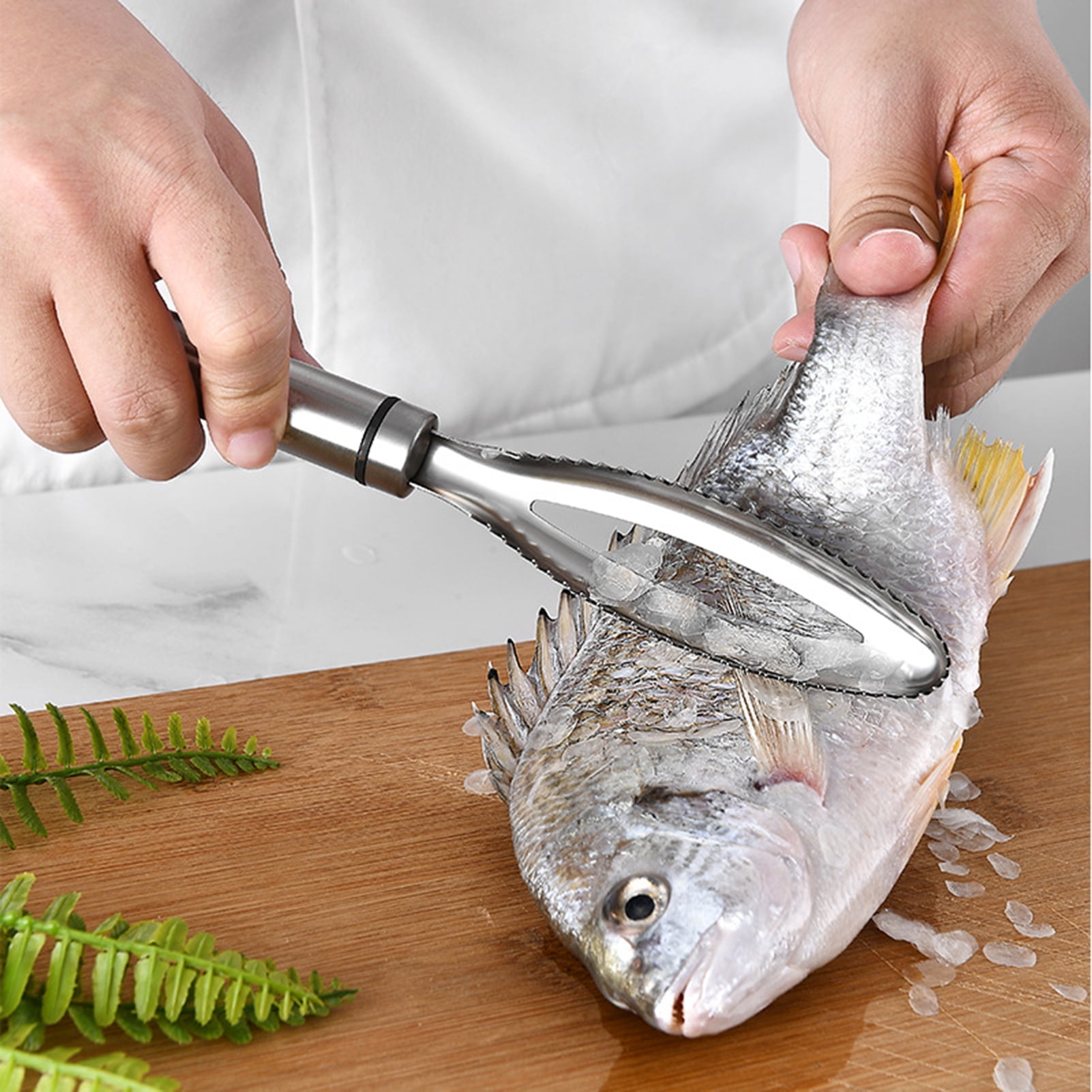 Walbest Fish Scale Scraper Non-Slip Stainless Steel Manual Fish Scale  Remover Home Kitchen Seafood Tool 