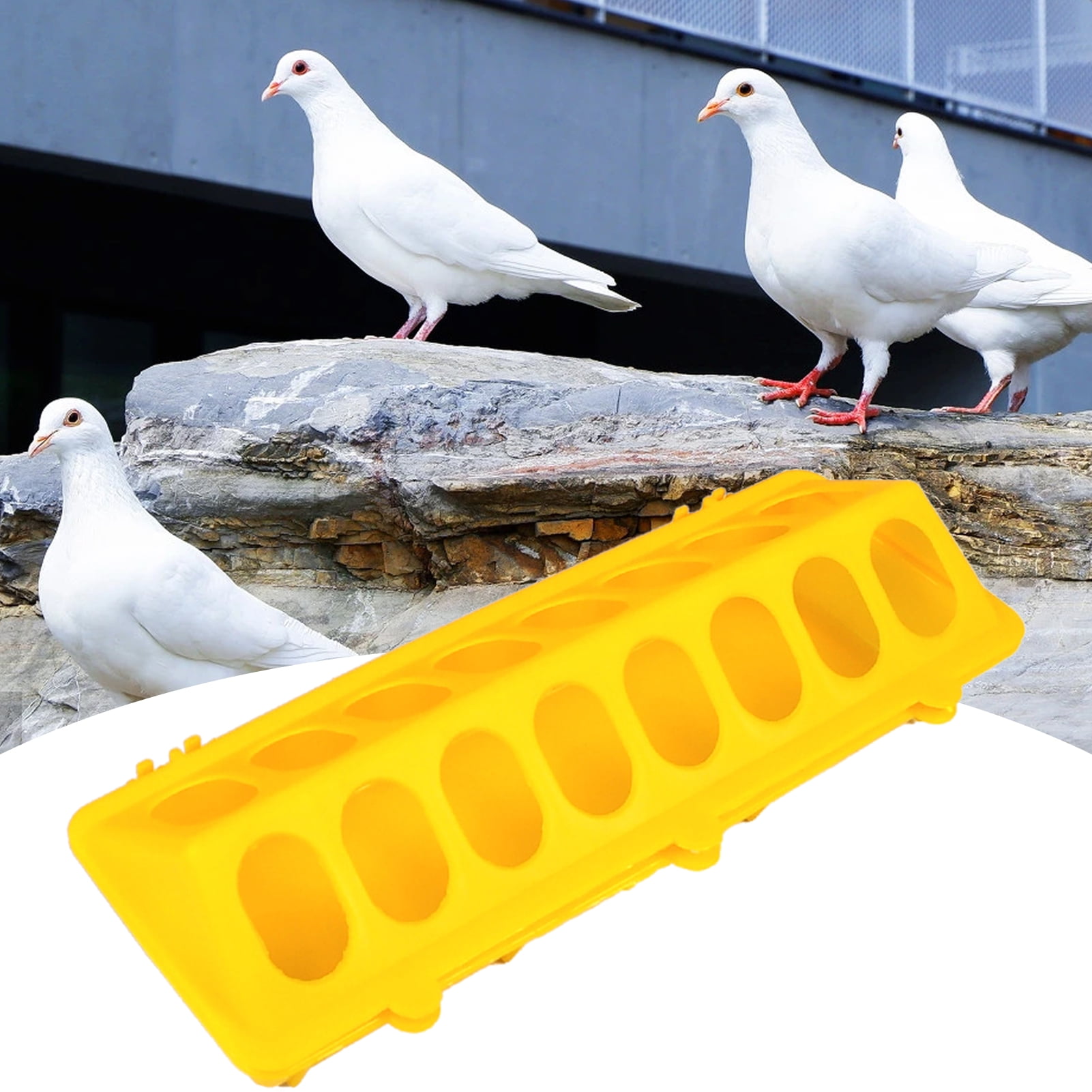 Walbest Flip Top Poultry Feeder Trough Baby Chick Feeder Plastic