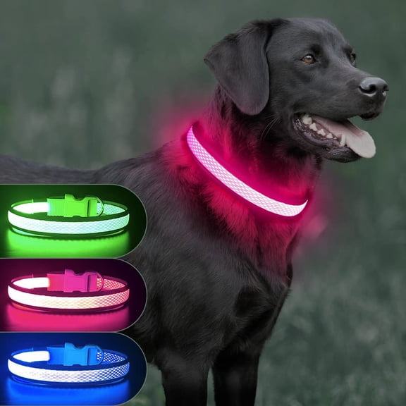 Walbest Light Up Dog Collars- USB Rechargeable Adjustable Puppy Collars for Dog Night Safety, Mesh Nylon Dog Collar Lights for Night Time (Orange, L)