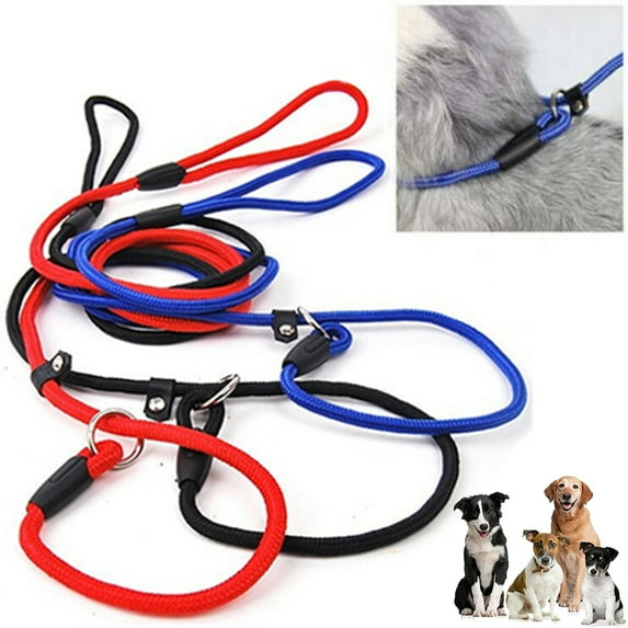 Walbest Pet Dog Nylon Adjustable Loop Slip Leash Rope Lead 1.3m, Red(4.26 FT)