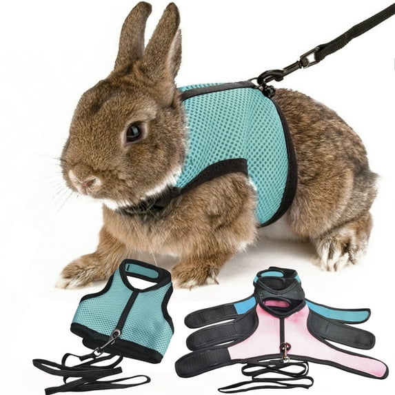 Walbest Rabbit Guinea Pig Hamster Pet Harness Vest Mesh Chest Strap with Traction Leash, Outdoor Bunny Clothes