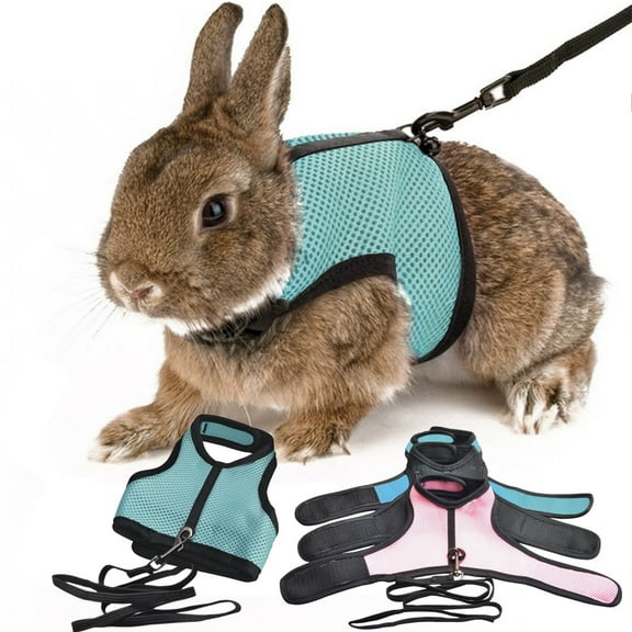 Walbest Rabbit Guinea Pig Hamster Pet Harness Vest Mesh Chest Strap with Traction Leash, Outdoor Bunny Clothes