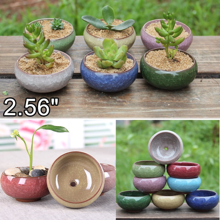 Walbest Small Ceramic Succulent Pot with Drainage Hole, Mini Delicate Pot  for Plants, Tiny Porcelain Planter, Air Plant Flower Pot Cactus Faux Plants  Container, Home and Office Decor, 1pc - Walmart.com