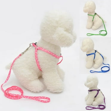 Walbest Small Dog Harness and 47"Long Leash Set for Puppy XS S Medium Dogs, Soft Easy Walk No Pull Step in Vest Harnesses Escape Proof Boy Girl, Purple