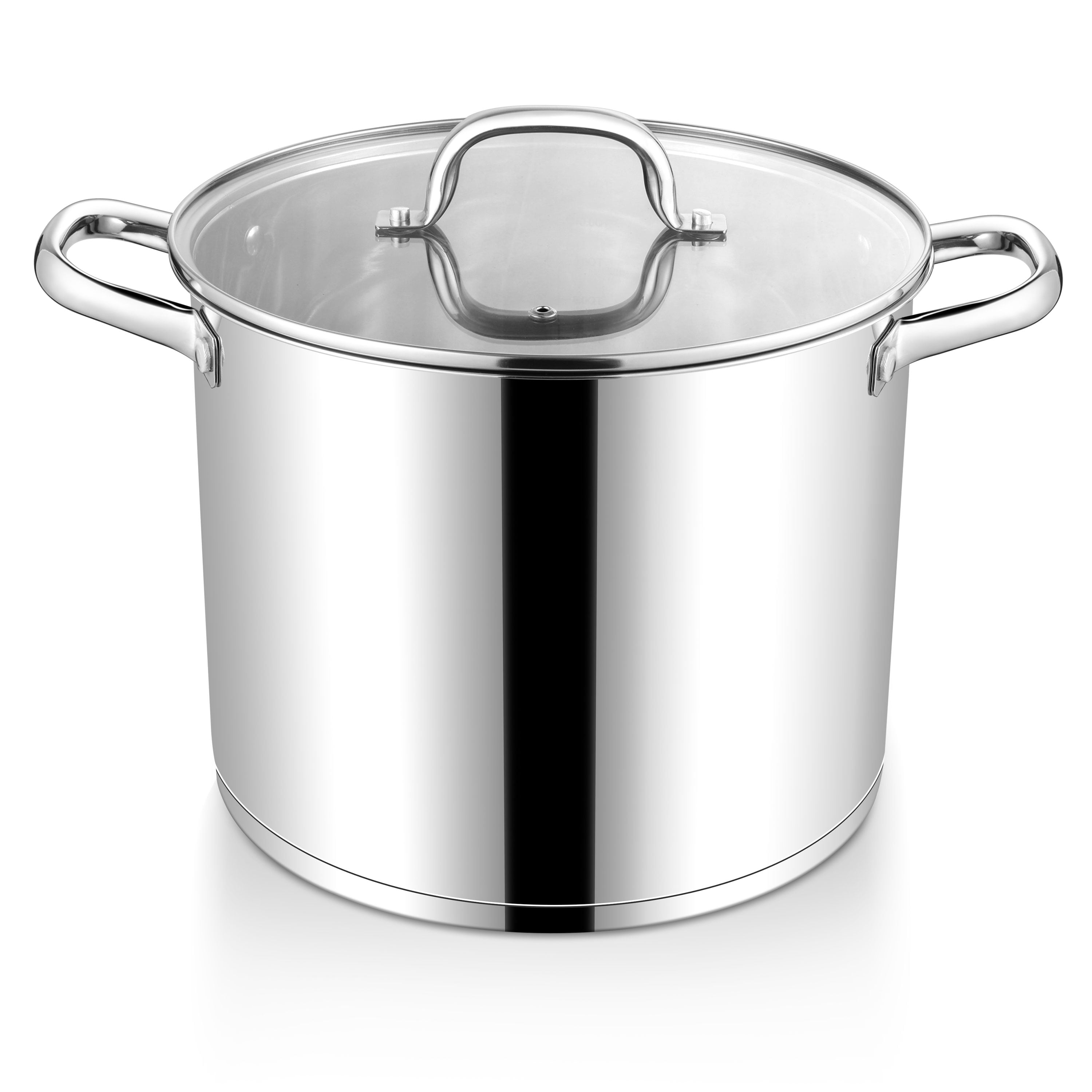 Walchoice 12-Quart Stainless Steel Stockpot with Lid, Large Heavy Duty ...