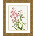 thumbnail image 1 of Walcott, Mary Vaux 12x14 Gold Ornate Wood Framed with Double Matting Museum Art Print Titled - Fireweed-1902, 1 of 4