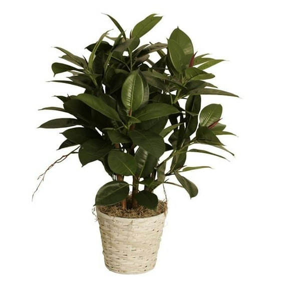 Wald Imports 0025-10W 10 in. Whitewash Rattan Pot Cover Pack of 3