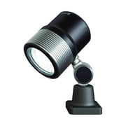 Task Light,Articulating,8.5 W,Black 113185000-00668613