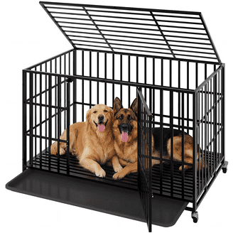 Stainless Steel Dog Crate