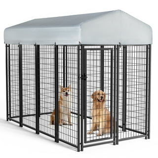 Dog Kennels in Dogs Walmart