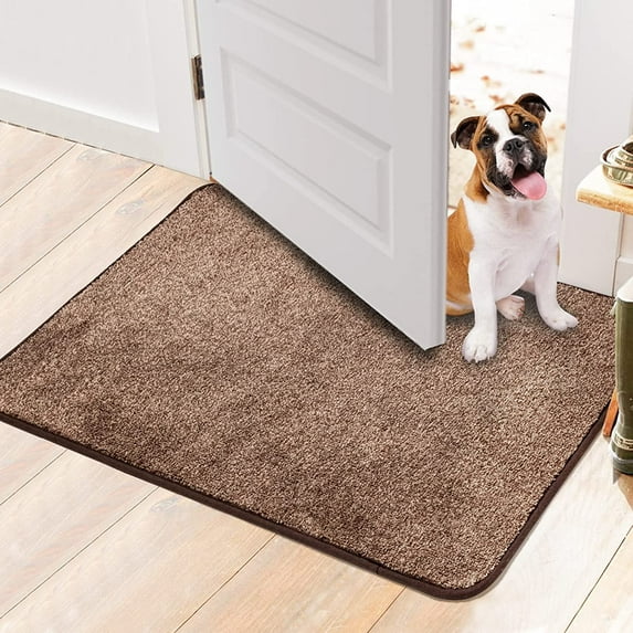 Walensee Indoor Doormat, Front Door Mat for Entrance, 20"x32" Brown