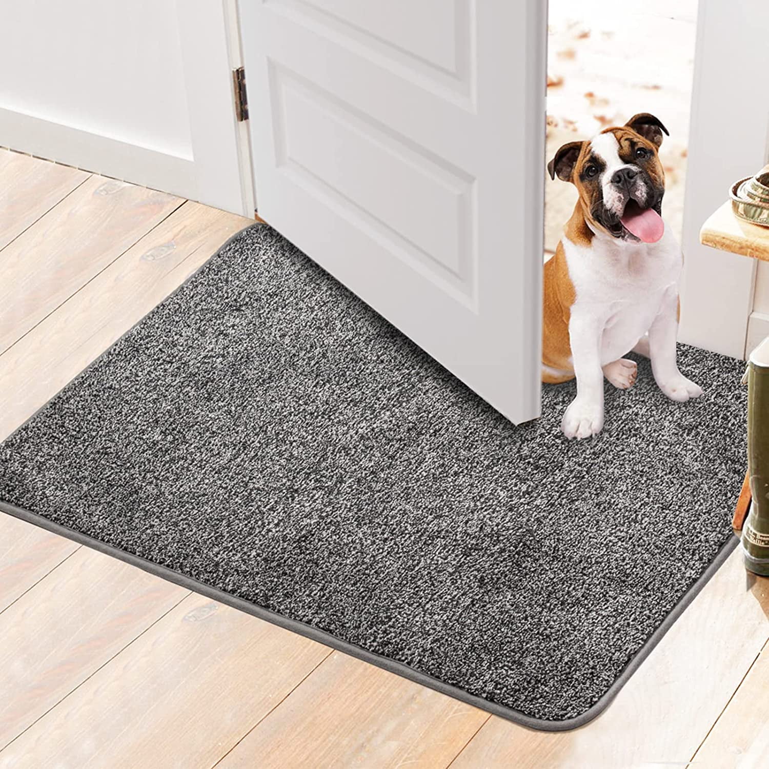 Walensee Indoor Doormat, Front Door Mat for Entrance, 20"x32" Grey