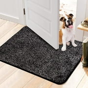 Walensee Indoor Doormat, Front Door Mat for Entrance, 20"x32" Solid Black