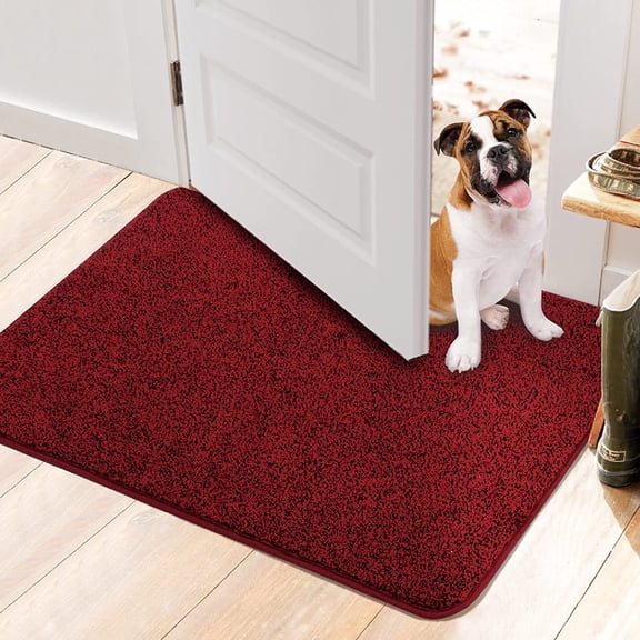 Walensee Indoor Doormat, Front Door Mat for Entrance, 24"x35" Red