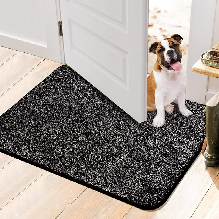 Walensee Indoor Doormat, Front Door Mat for Entrance, 36x59 Grey 