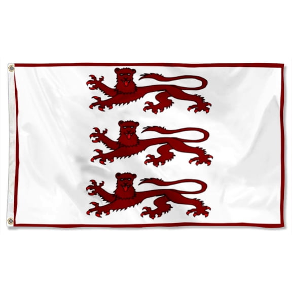 Wales Flag 1267 Alternative Polyester 3x5 FT banner