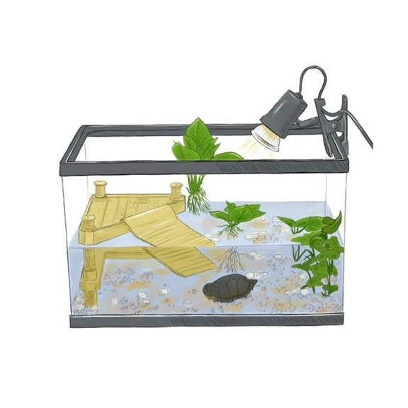 Walfront Floating Basking Platform for Reptile Turtles Frogs Ramp Pier