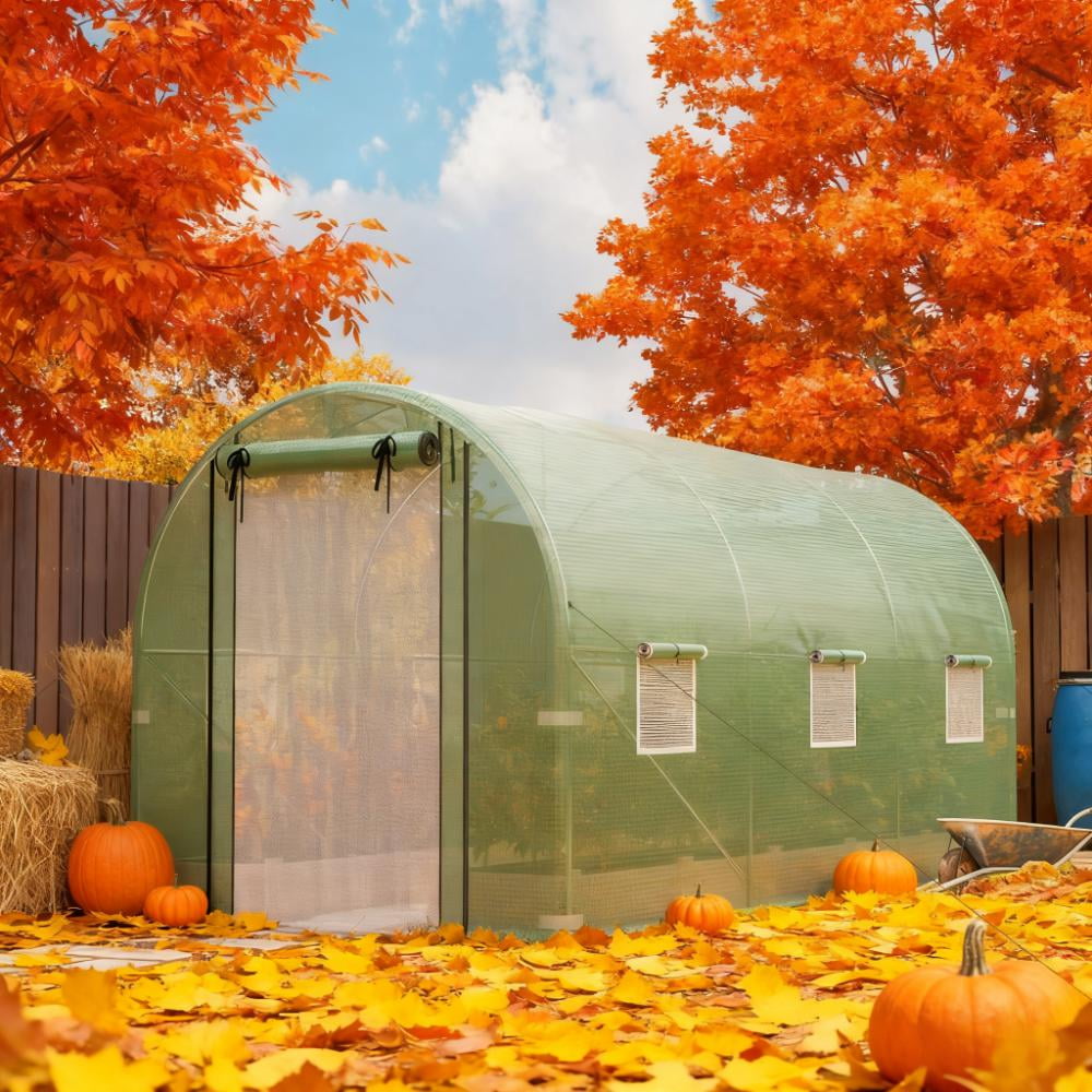 Walk-in Tunnel Greenhouse with 2 Support Rods