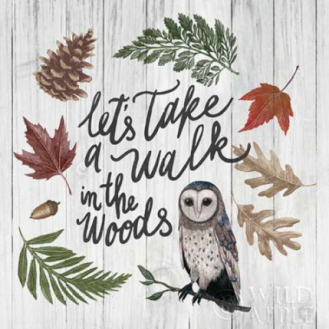 Walk in the Woods Canvas Art - Sara Zieve Miller (24 x 24)