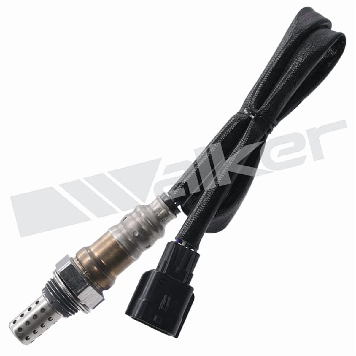 Walker Products O2 SENS 4-W TERM