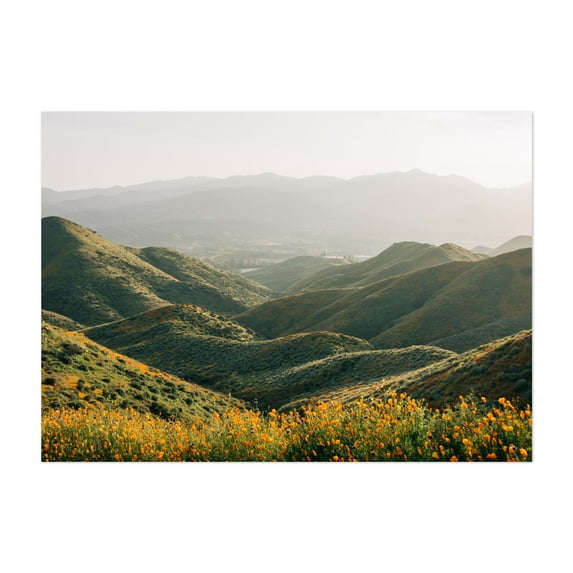 Walker Canyon Views 01 - Lake Elsinore California Photography Landscape Nature Mountain Scenic Floral Summer Botanical Unframed Wall Art Print 30 x 40 inches
