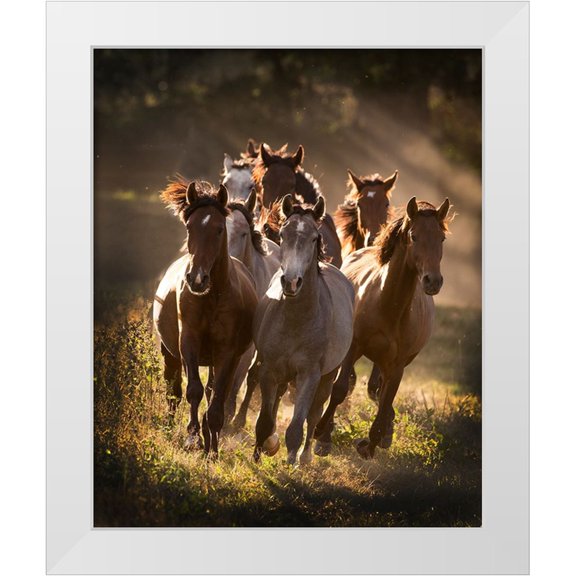 Walker, Carol 12x14 White Modern Wood Framed Museum Art Print Titled - Running Mates
