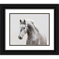 thumbnail image 1 of Walker, Carol 14x12 Black Ornate Wood Framed with Double Matting Museum Art Print Titled - Grey Meadow Horse, 1 of 4