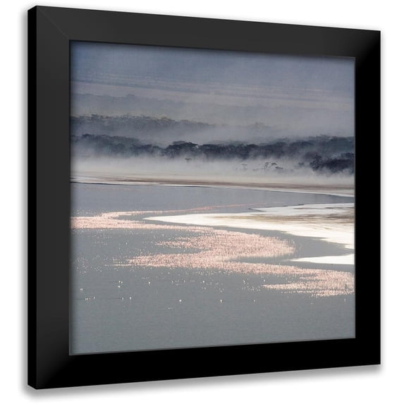Walker, Carol 15x15 Black Modern Framed Museum Art Print Titled - Flamingo Land Square