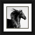 thumbnail image 1 of Walker, Carol 15x15 Black Ornate Wood Framed with Double Matting Museum Art Print Titled - Black Horse, 1 of 4