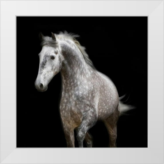 Walker, Carol 15x15 White Modern Wood Framed Museum Art Print Titled - Spotted Horse